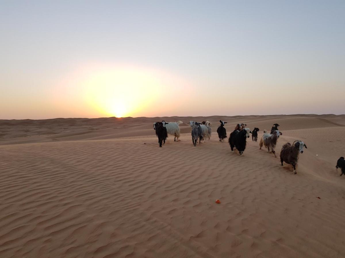 Luxe tent Private Bedouin Desert Camp